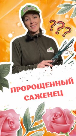 Пророщенные саженцы. Что делать ?