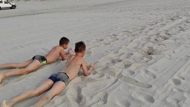 Море август Янтарный 2023 смотреть онлайн