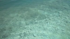 Вода в на карьере в Амвросиевке 2018 год