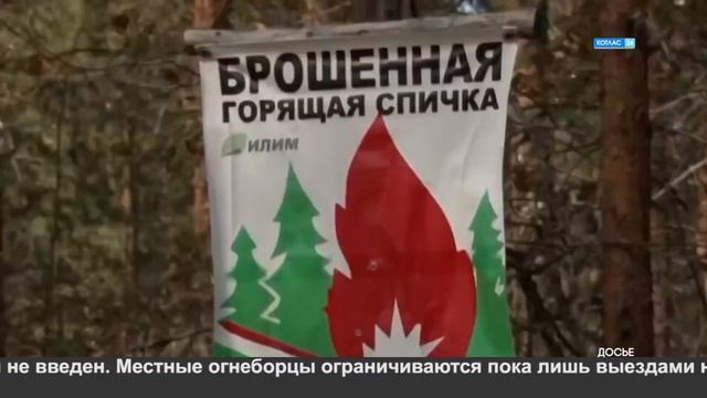 Берегите лес от огня смотреть онлайн