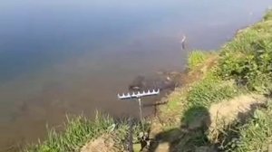 video 2014 05 25 09 03 02 Ловля карася на Бисерово