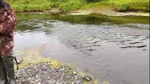 Сплав по реке Воркута 2022