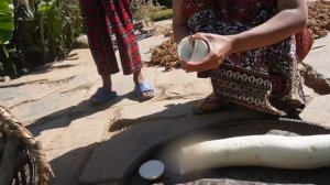 Harvesting Radish In An Extremely Funny Way