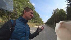 Двигаюсь по лесной дороге в дремучем лесу! Дальняк на Ситикоко White Siberia 2wd