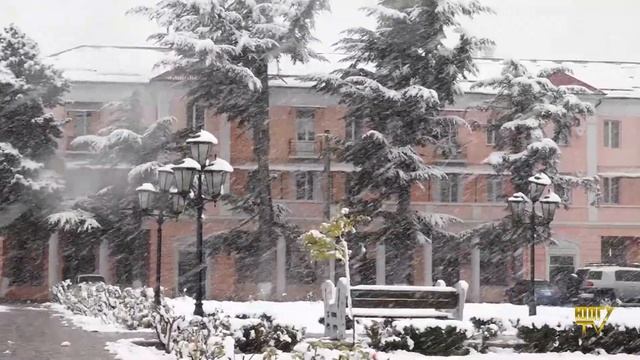 Первый снег…ну второй ? #всемздоровья