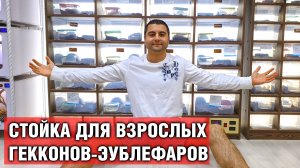 Стойка для взрослых гекконов-эублефаров — Как сделать стойку своими руками