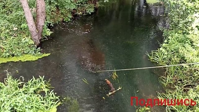 Поисковый магнит Большое колесо Вторсырьё