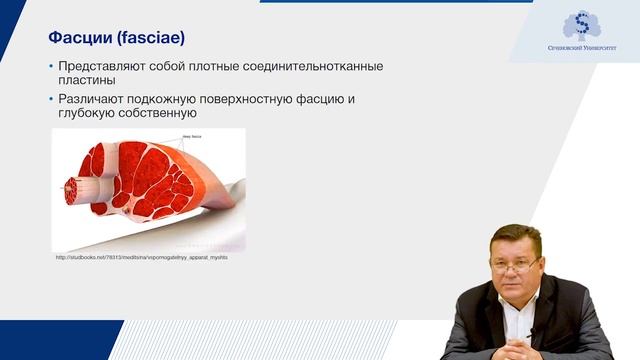 Общая миология