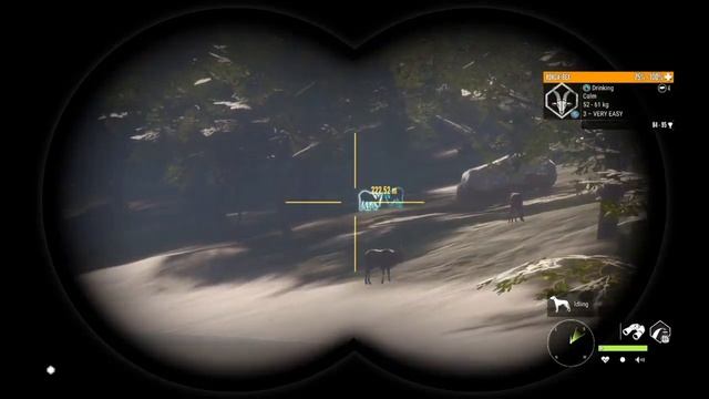 Top 5 BEST Hotspots On Cuatro Colinas! | theHunter - Call of the Wild смотреть онлайн