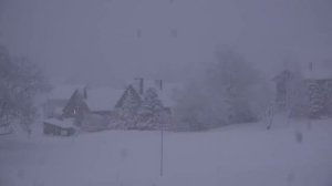 Метель в горах. Падающий снег. Звуки сильного арктического ветра. Под белый шум спи и расслабляйся.