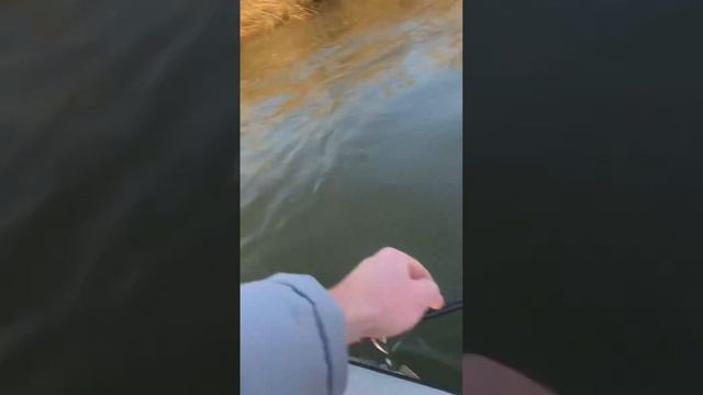 Рыбалка в Астрахани, осень. #астрахань #reels #астраханскаяобласть #fishing