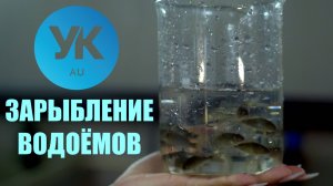 ЗАРЫБЛЕНИЕ ВОДОЕМОВ