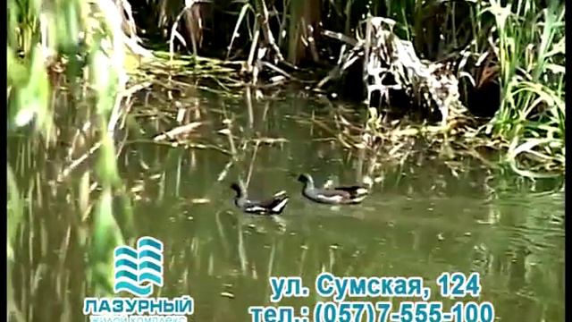 ЖК Лазурный Харьков