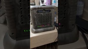 тараканы в доме. как избавиться???