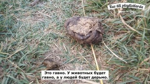 Жизнь в деревне Узбекистана #rustili #рустили #Узбекистан #кишлак