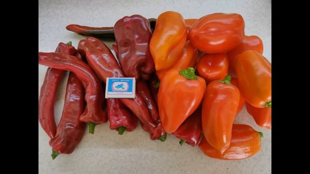 Готовимся к новому сезону! Органические удобрения компании BioHelper/ смотреть онлайн