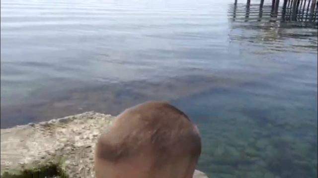 485.США.ВСЕГДА РАДА ПРИВЕТУ ОТ РОДНЫХ)) Lyubov Reed смотреть онлайн