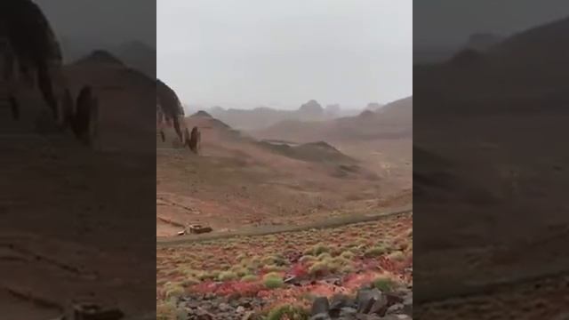 mountain assekrem in the south of Algeria (tamanrasset)