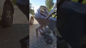 Каляска verdi expert 3 в 1