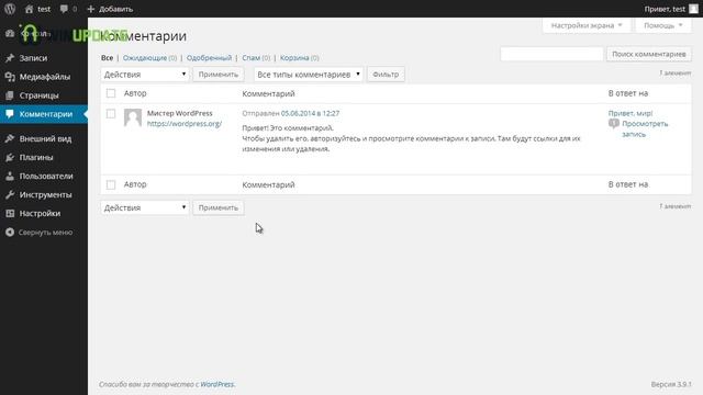 Обзор WordPress смотреть онлайн