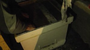 Зимовка пчел в теплом сухом погребе под домом!