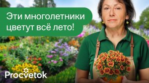 10 ЯРКИХ МНОГОЛЕТНИКОВ ЦВЕТУЩИХ ВСЁ ЛЕТО И КУСОЧЕК ОСЕНИ!