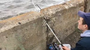 Рыбалка на ВОЛГЕ на ФИДЕР с берега в ненастную погоду. От нуля ушёл