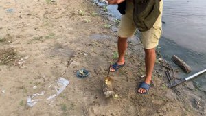 Сазан на макуху на мели в Ахтубе. Рыбалка 2021.