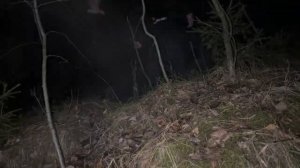 Прода из телеграмма // Декстер // Моя МЛАДШАЯ СЕСТРА ВСТРЕЧАЕТСЯ с БАТОНОМ!