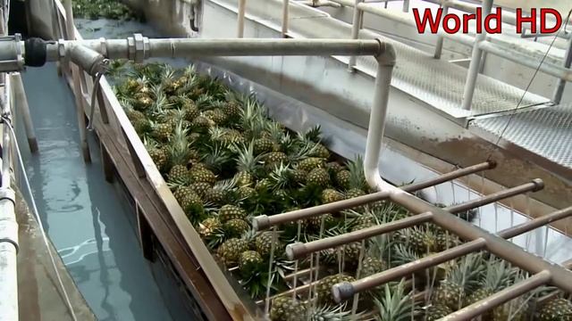 Уборочные машины урожая. Современные машины для сбора фруктов и овощей.
