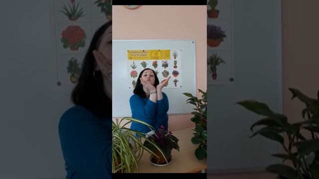 Пальчиковая гимнастика Цветок