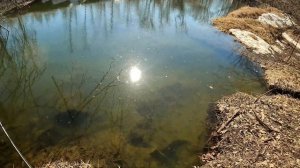 Wisconsin Trout Fishing - 3/25/2023