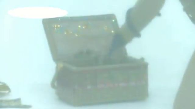 Экзотик-шоу со змеями на праздник смотреть онлайн