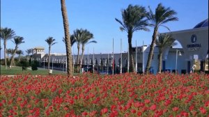 AURORA ORIENTAL RESORT HOTEL  EGYPT  SHARM EL SHEIKH