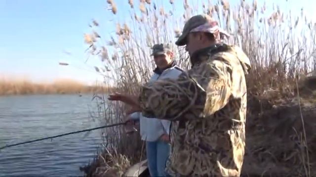 ЧТО ЖЕ ТЫ ЗАРАЗА СЮФ КРАСНОДАРСКИЙ ВЛАДИМИР ВЫСОЦКИЙ