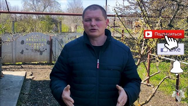 ОСНОВНЫЕ Причины ГИБЕЛИ Почек при УКРЫТИИ Винограда ЗЕМЛЁЙ! смотреть онлайн