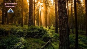 Алгоритм правильной реакции на внешнее проявление зла от людей ✵ Законы Мироздания