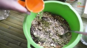 Амарантовое печенье без глютена