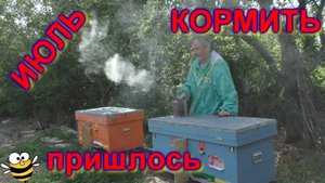 Месячный осмотр пакетов, Подкормка в ИЮЛЕ. 24г