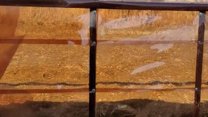 Теплицы из ПЭТ бутылок после зимовки. Всё отлично!