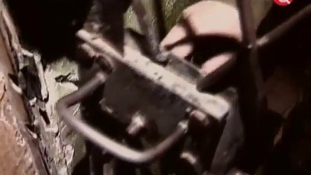 Тюремная камера для звезды как звезды попадали за решетку смотреть онлайн