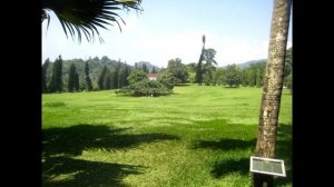 Шри Ланка Маравила отель Club Palm Bay 4*