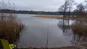 test grill turystyczny z pokrywą Phoenix Naterial