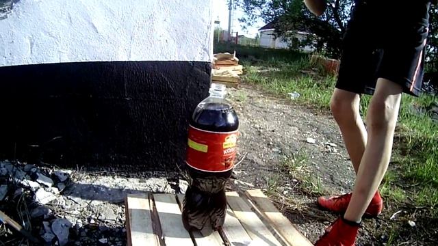 КОКОКОЛА С  ХОЛОДКОМ