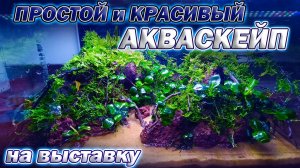 Простой и Красивый Акваскейп 30 литров с камнями и корягам