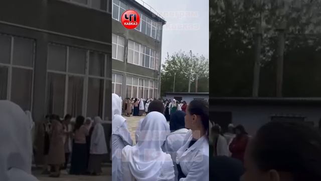 Смотреть видео онлайн