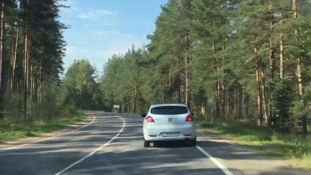 Бухой мужик виляет по дороге смотреть онлайн