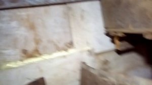 НОЧЕВКА В ЛЕСУ. БАЛАГАН ИЗБА.