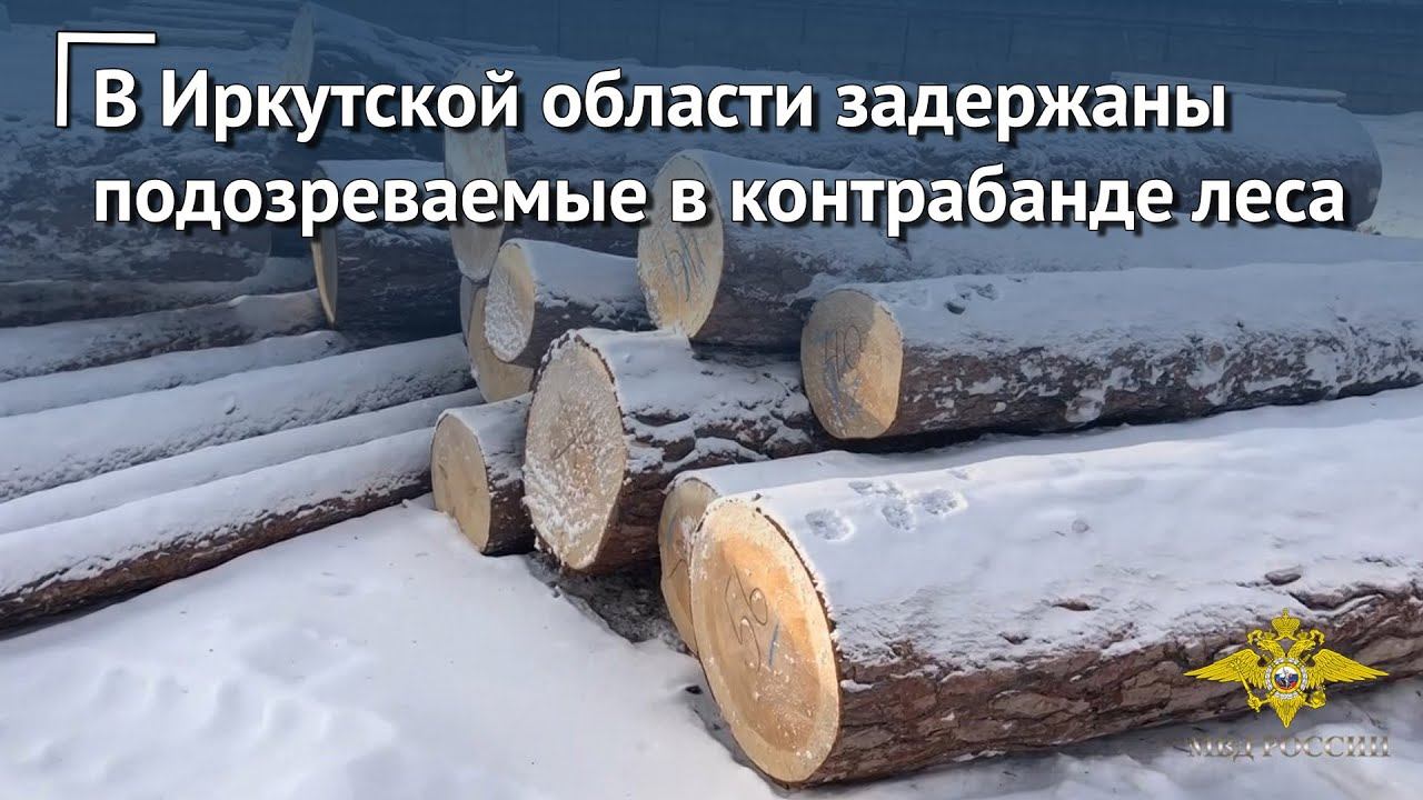 Задержаны участники преступного сообщества, подозреваемые в контрабанде леса