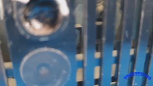 Вега 10У 120С. Пережиток прошлого или Hi-Fi усилитель?!